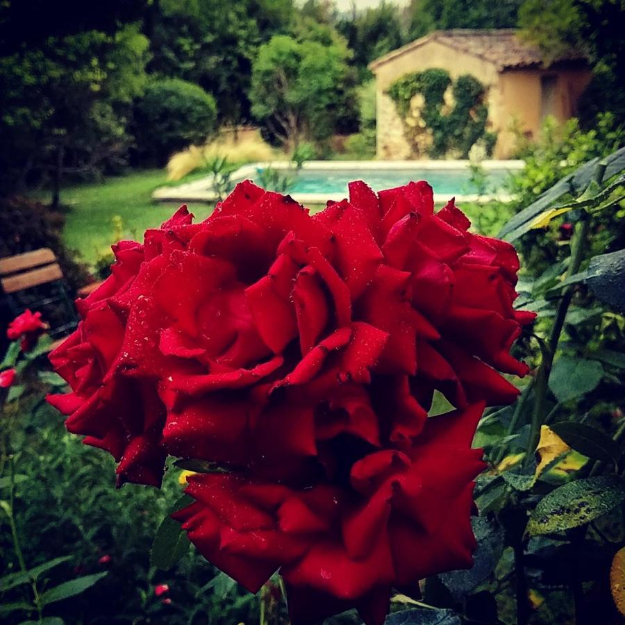 Bed and Breakfast Le Mas De Roussillon Roussillon en Isere Exteriér fotografie
